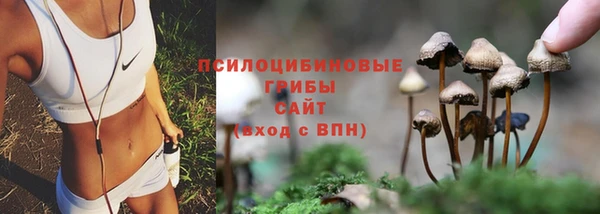 спайс Беломорск