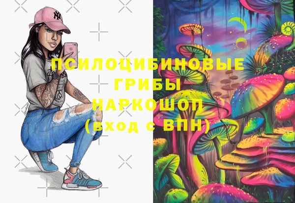 спайс Беломорск