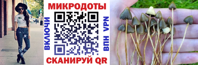 Псилоцибиновые грибы Psilocybe  купить  цена  Кропоткин 